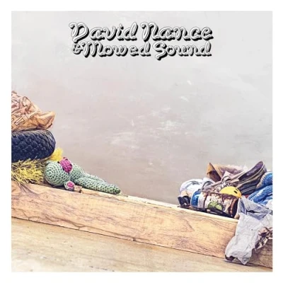 Afbeelding van David Nance &amp; Mowed Sound (LP)