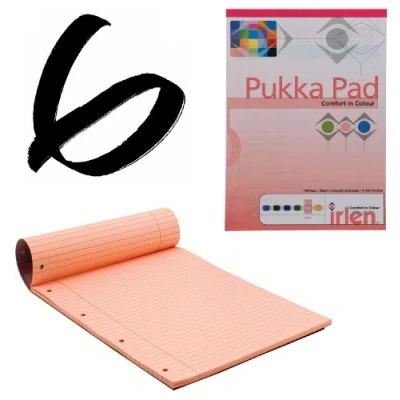 Afbeelding van 6x Rose Pukka Pad A4 80gsm gelijnd met marge 100 pagina&#039;s 50 vellen