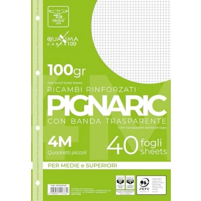 Afbeelding van Pigna 02222374M, vervanging met versterkte band, 4M Strip, 4mm vierkanten voor 4e en 5e klas medium hoger, 100gsm papier, 40 vellen