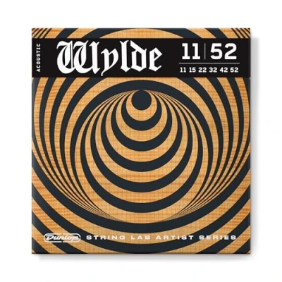 Afbeelding van ZAKK WYLDE STRING LAB AKOESTISCHE GITAARSNAARS 11 52