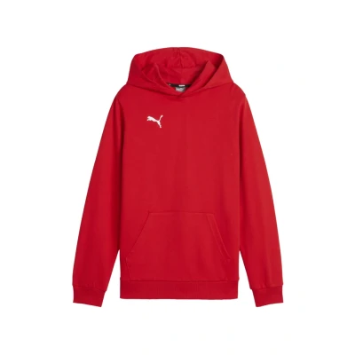 Afbeelding van Puma Teamgoal Hoodie voor kinderen, Maat: 116, Rotweiss