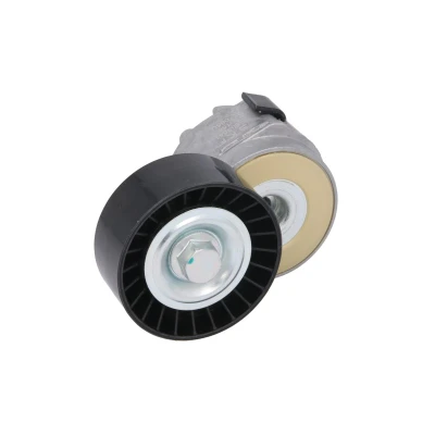 Afbeelding van Skf Spanrol (poly) V riem VKMCV 52012