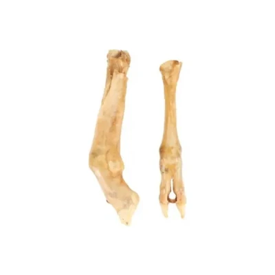 Afbeelding van FLAMINGO Nature Snack Lamsvoet, 2 stuks
