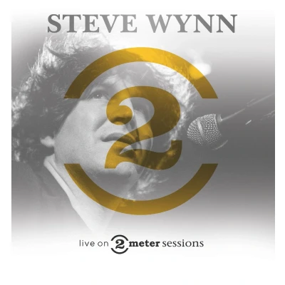Afbeelding van Steve Wynn live on 2 meter sessions (LP)
