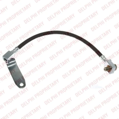 Afbeelding van Delphi Diesel Remslang LH6616
