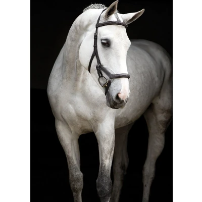 Afbeelding van Rambo Micklem Deluxe Competition Bridle Dark Havanna Pony
