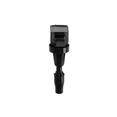 Afbeelding van Delphi Diesel Bobine GN10910 12B1