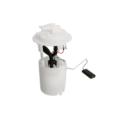 Afbeelding van Delphi Diesel Brandstofpomp FE10033 12B1