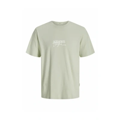 Afbeelding van Jack &amp; Jones LOGO Rundhalsausschnitt Tshirt print, Heren, Maat: XXL, Celadon tint