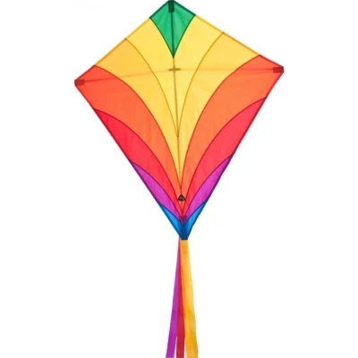 Afbeelding van HQ Eenlijns Vlieger Eddy Rainbow Spanwijdte 680 mm Geschikt voor windsterkte 2 5 bft