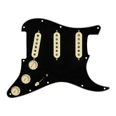 Afbeelding van Fender Pre Wired Strat PG Custom Shop &quot;;69 SSS Black