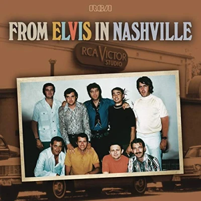 Afbeelding van Elvis Presley From In Nashville (2 LPs)
