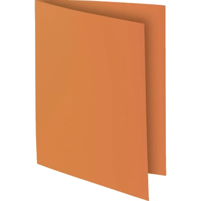 Afbeelding van Exacompta ref. 800014E Set van 100 felgekleurde inlegmappen ROCK&#039;&#039;S 80 g/m2 in PEFC™ gecertificeerde mappen Afmetingen: 22 x 31 cm voor A4 formaat kleur bruin