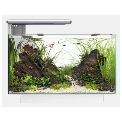 Afbeelding van Superfish Quadro 40 Wit