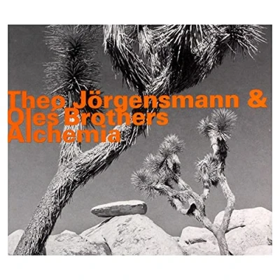 Afbeelding van Theo Jörgensmann &amp; Ole? Brothers Alchemia (CD)