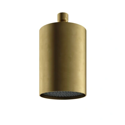 Afbeelding van HotBath Archie Beam velvet hoofddouche met plafondbevestiging Geborsteld Messing PVD AR472BBP
