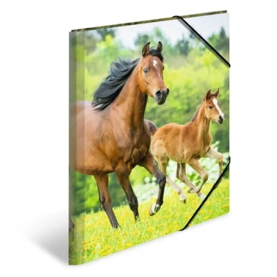 Afbeelding van 3x Elastomappen A3 PP Paarden
