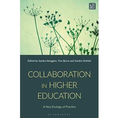 Afbeelding van Collaboration in Higher Education: A New Ecology of Practice