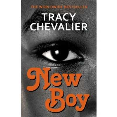 Afbeelding van New Boy: Othello retold
