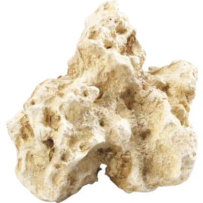 Afbeelding van Aqua Della Aquariumdecoratie Vissen Combo Moon S 16x10,5x13,5cm 1st