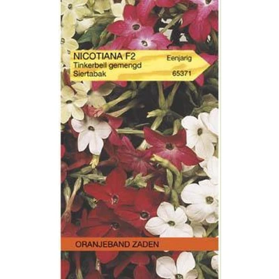 Afbeelding van Nicotiana, Siertabak Tinkerbell gemengd