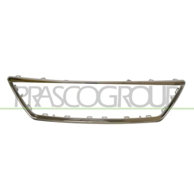 Afbeelding van Frame, radiateurgrille PRASCO ST4282206