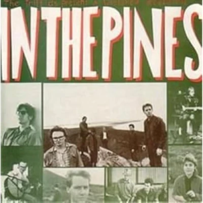 Afbeelding van Triffids In the Pines (2 LPs)