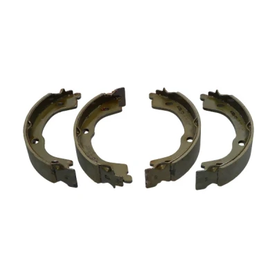 Afbeelding van Kavo Parts Remschoen set KBS 4414