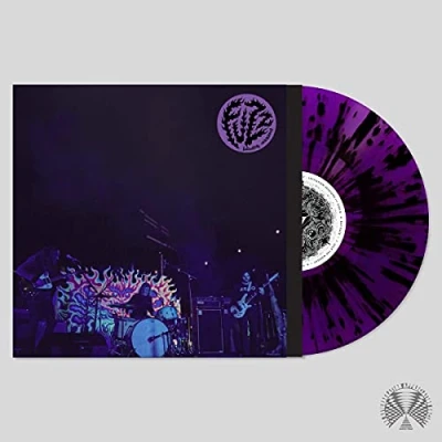 Afbeelding van Fuzz Levitation Sessions (LP)