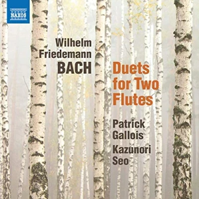 Afbeelding van Patrick Gallois Kazunori Seo Duets For Two Flutes (CD)
