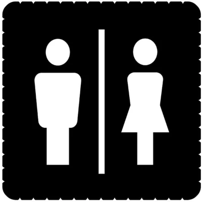 Afbeelding van ABB BUSCH JAEGER ICELIGHT PICTOGRAM WC DAMES HEREN