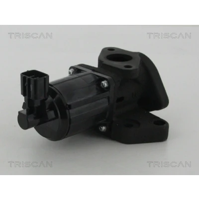Afbeelding van Triscan EGR klep 8813 50007