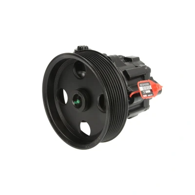 Afbeelding van Lauber Servopomp 55.2906