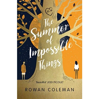 Afbeelding van The Summer of Impossible Things