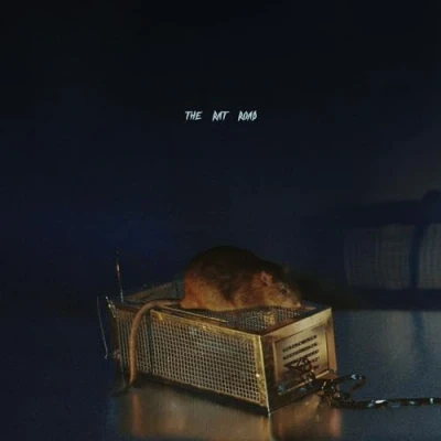 Afbeelding van SBTRKT The Rat Road (Cd)