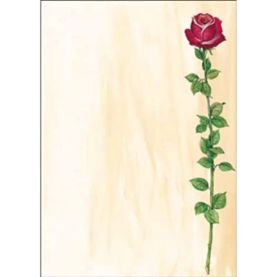 Afbeelding van Designpapier Sigel A4 90grs Rose Bloom pak 25 vel