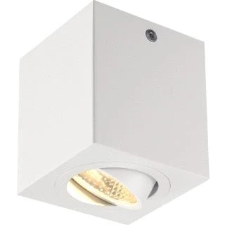 Afbeelding van Slv plafond wandarmatuur 113941