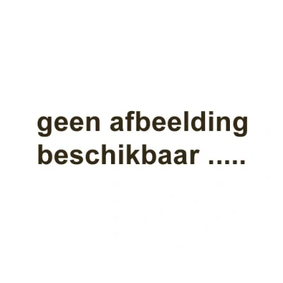 Afbeelding van Victorinox SwissCard Balpen