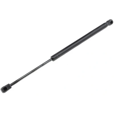 Afbeelding van Gasveer, motorkap NTY AE RE 038