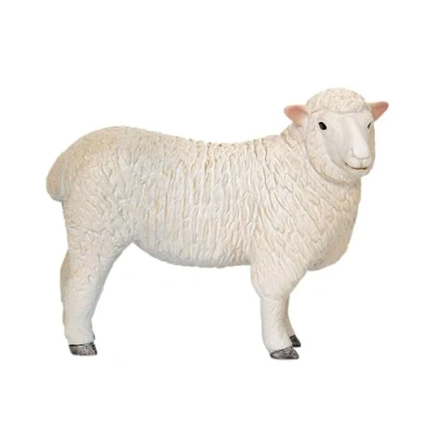 Afbeelding van Mojo Farmland Romney Schaap Ooi 381064