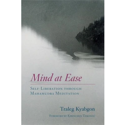 Afbeelding van Mind at Ease: Self Liberation through Mahamudra Meditation
