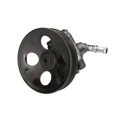 Afbeelding van Lauber Servopomp 55.0460