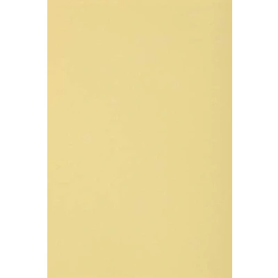 Afbeelding van Netuno 100 crème karton A4 210x297mm 250g Burano Camoscio gekleurd fotokarton voor kaarten scrapbooking knutselen decoreren uitnodigingen kunst handwerk