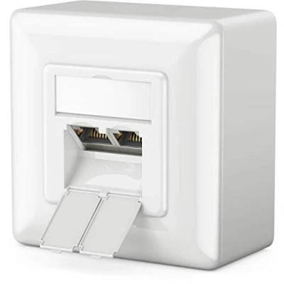 Afbeelding van deleyCON 1x CAT6a Universele Netwerkdoos 2x RJ45 Poort Afgeschermd Opbouw of Inbouw 10 Gigabit Ethernet Netwerk EIA/TIA 568A&amp;B Wit