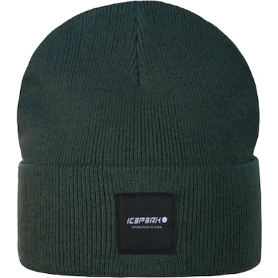 Afbeelding van NU 20% KORTING: Icepeak Beanie