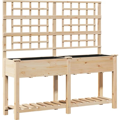 Afbeelding van vidaXL Tuinbak met Trellis en Plank 161x43x152 cm Massief Grenenhout