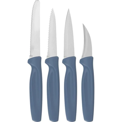 Afbeelding van 4 delige RVS Messenset met blauw kunststof handvat