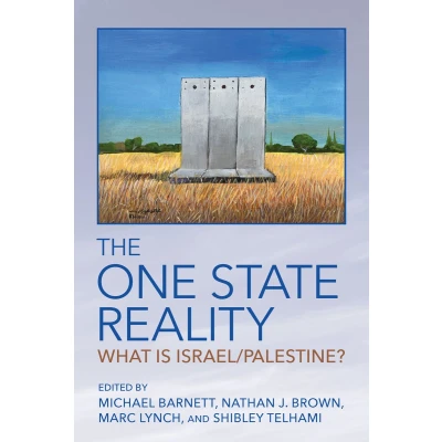 Afbeelding van The One State Reality: What Is Israel/Palestine?