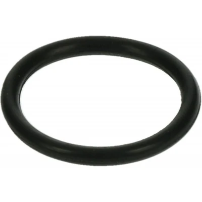 Afbeelding van Philips Dichtingsring perfectdraft hd3620 996500026124