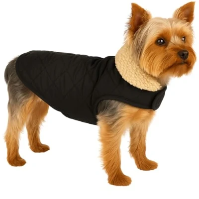 Afbeelding van Flamingo Hondenjas Bonnie zwart maat 30 cm (A: cm, B: 31 32 C: 46 49 cm) Ideaal voor rassen zoals Chihuahua, Franse Bulldog, Beagle, Jack Russell en Cocker Spaniel